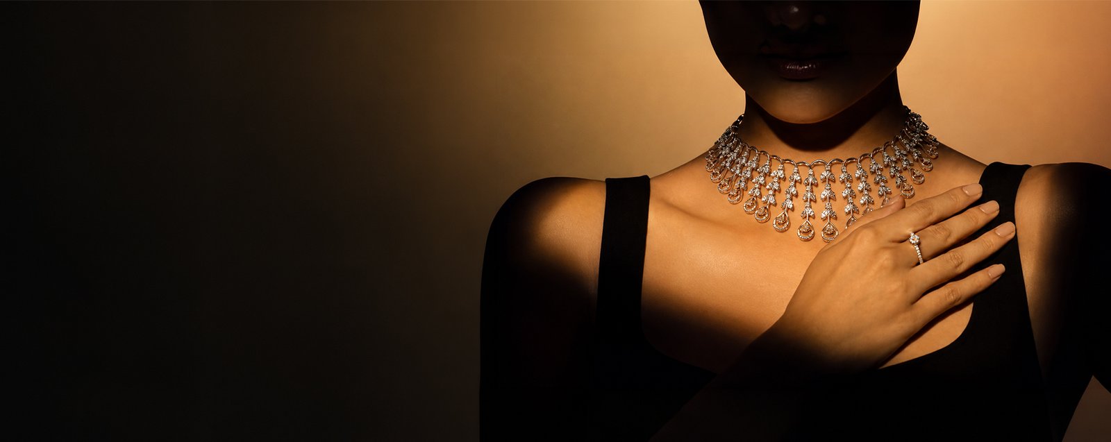 Jewelry Banner